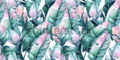 Sticker  Aquarelle tropical modèle sans couture avec des feuilles de bananier. Fond de feuilles exotiques. Illustration naturelle peinte à la main pour la couverture, la toile de fond, l'impression