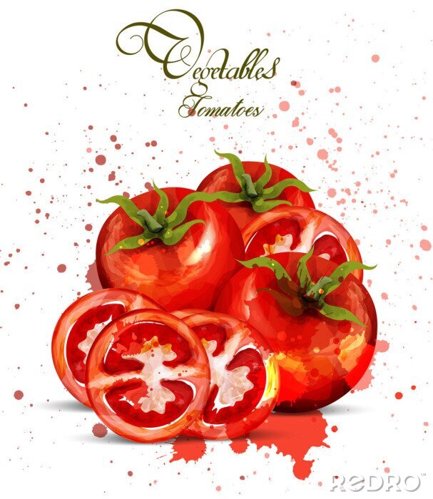 Sticker  Aquarelle vecteur de tomates. Design délicieux avec des taches colorées à la main