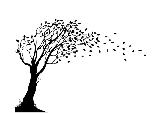 Sticker  Arbre d'automne silhouette
