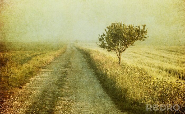 Sticker  Arbre dans un champ vintage