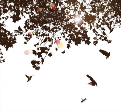 Sticker  arbre et l'oiseau