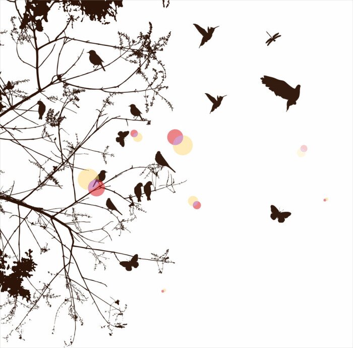 Sticker  arbre et l'oiseau