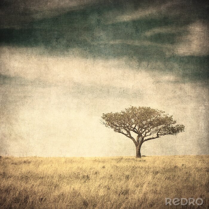 Sticker  Arbre solitaire dans un style vintage