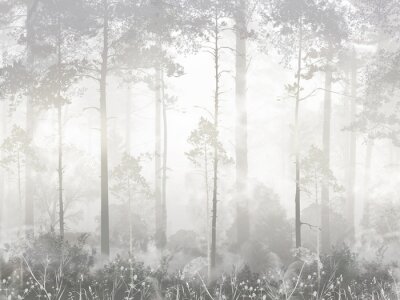 Sticker  Arbres dans la brume de la forêt du matin