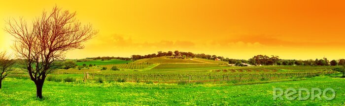 Sticker  Arbres sur un paysage panoramique