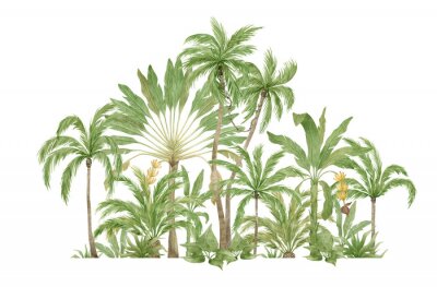 Sticker  Arbres verts tropicaux