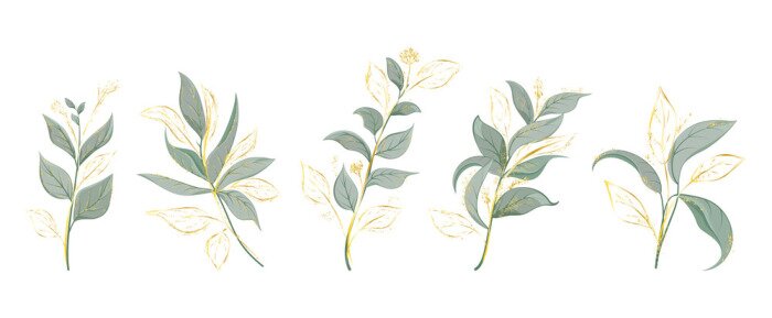Sticker  Art watercolor natural branches leaves elements. Vector illustration