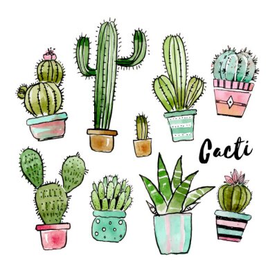 Sticker  Assorted watercolor cactus collection
