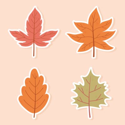 Sticker  autumn maple leaves foliage nature decoration stickers icons