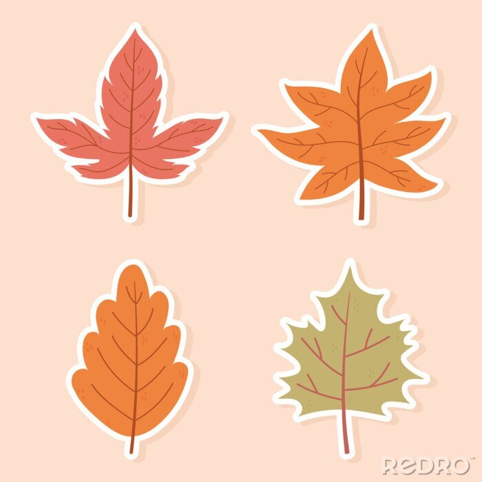 Sticker  autumn maple leaves foliage nature decoration stickers icons