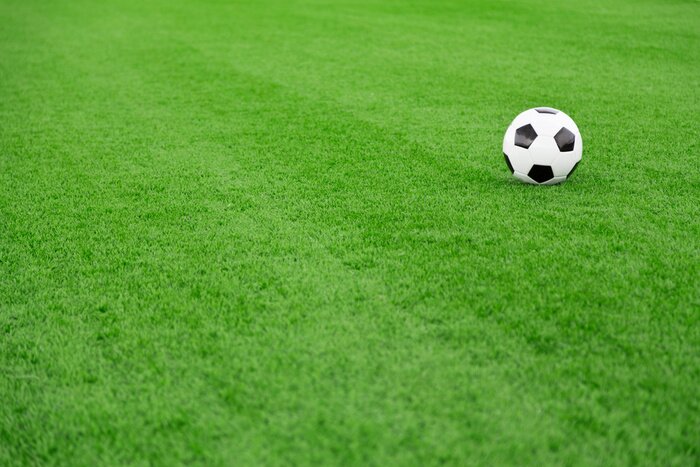 Sticker  Ballon de foot au milieu du gazon