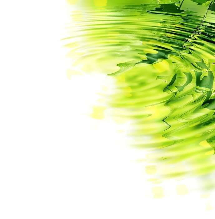 Sticker  Bambou dans le reflet de l'eau