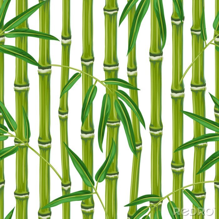 Sticker  Bambou gros plan