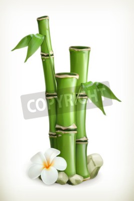 Sticker  Bambou, icône vecteur