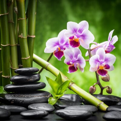 Bambou, pierre et orchidées