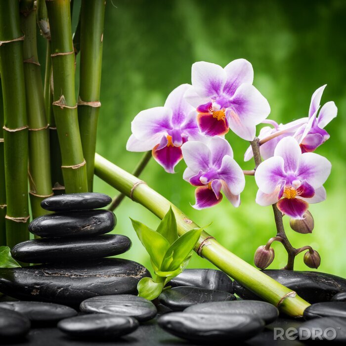 Sticker  Bambou, pierre et orchidées