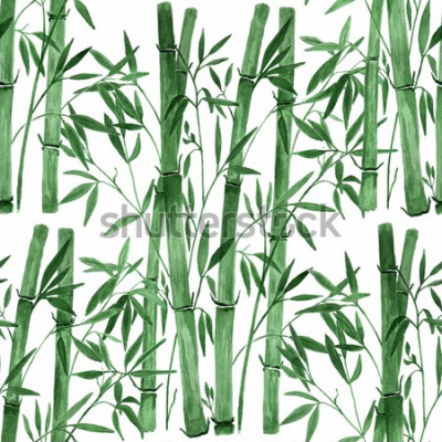 Sticker  Bambou sur fond blanc. Illustration sans soudure aquarelle dessinée à la main.