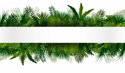Sticker  Bandes de végétation tropicale deux illustrations réfléchies