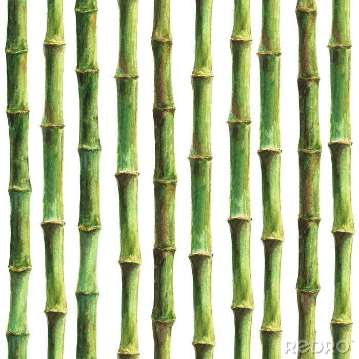 Sticker  Beau dessin de bambou