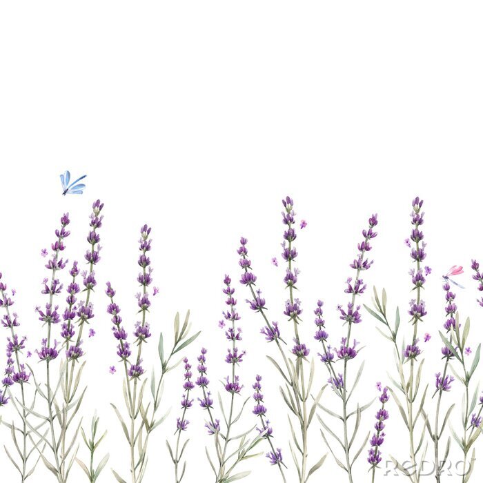 Sticker  Beautiful seamless floral provence pattern with watercolor hand drawn gentle lavander flowers. Stock illustration.
