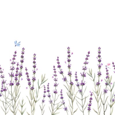 Sticker  Beautiful seamless floral provence pattern with watercolor hand drawn gentle lavander flowers. Stock illustration.