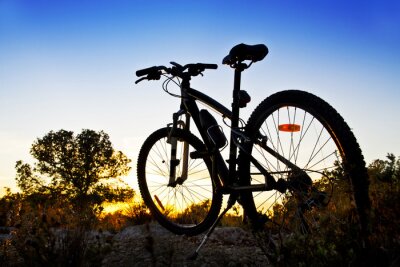 Sticker  bicicleta de montaña en el paisaje