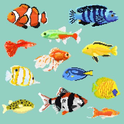 Sticker  Big set of pixel exotic fish isolated on a blue background.