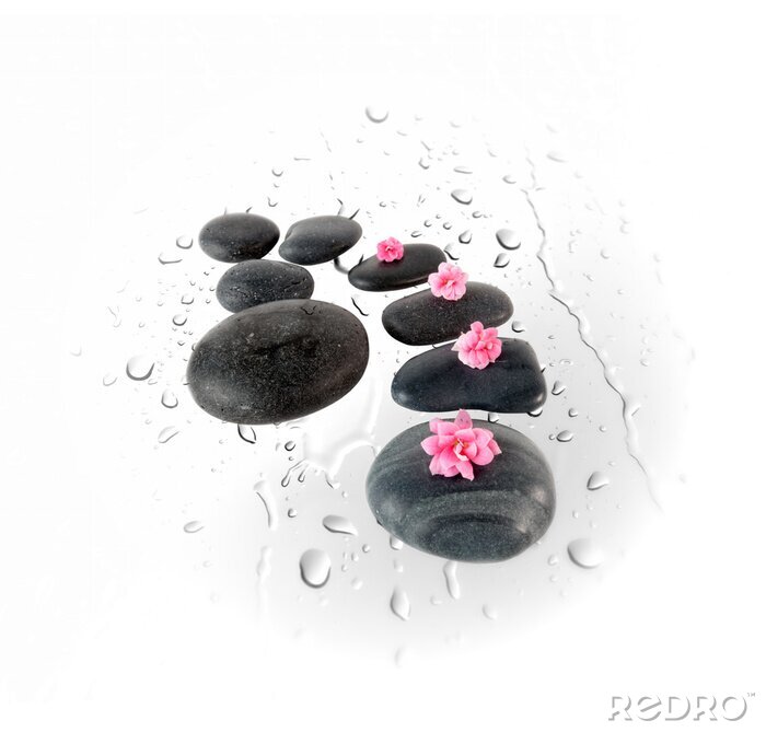Sticker  Black spa stones and pink flowers on water drops