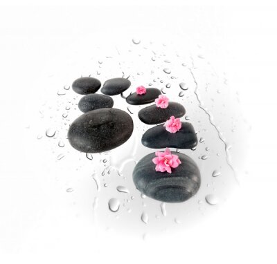 Sticker  Black spa stones and pink flowers on water drops