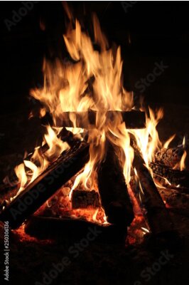 Sticker  Bois brûlant dans la cheminée