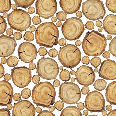 Sticker  Bois, tranche, seamless