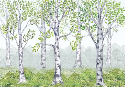 Bosquet de bouleaux dans une illustration féerique