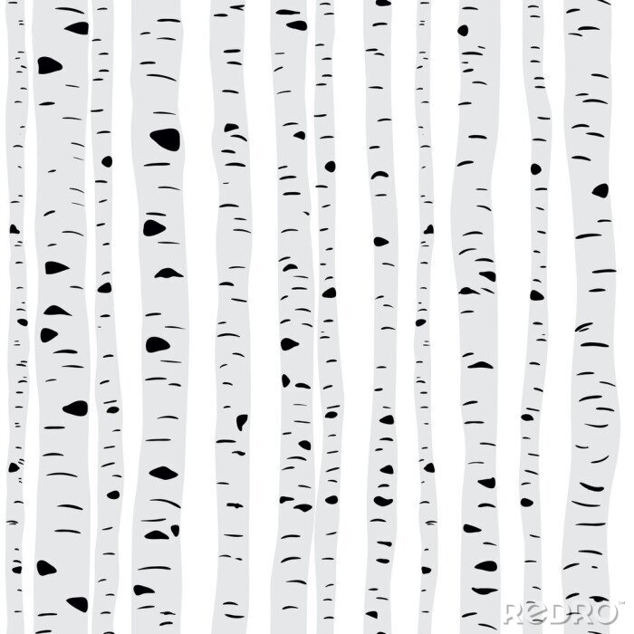 Sticker  Bouleaux élancés sur fond clair