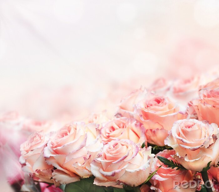 Sticker  Bouquet de roses romantique