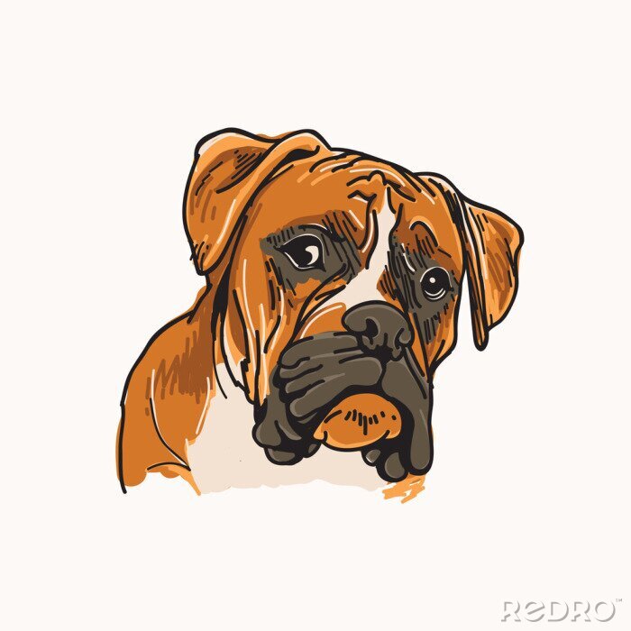 Sticker  Boxer, chien, vecteur, Illustration