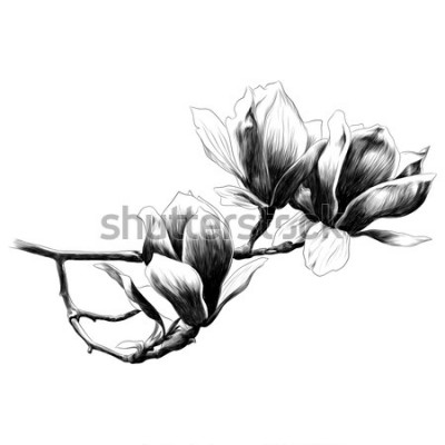 Sticker  Branche esquissée avec des fleurs