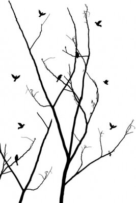 Sticker  branches avec des oiseaux