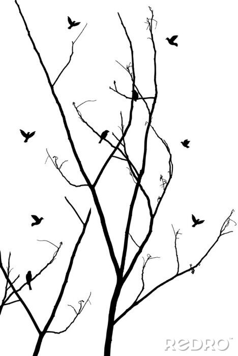 Sticker  branches avec des oiseaux