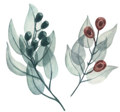 Sticker  Brindilles aquarelles rustiques