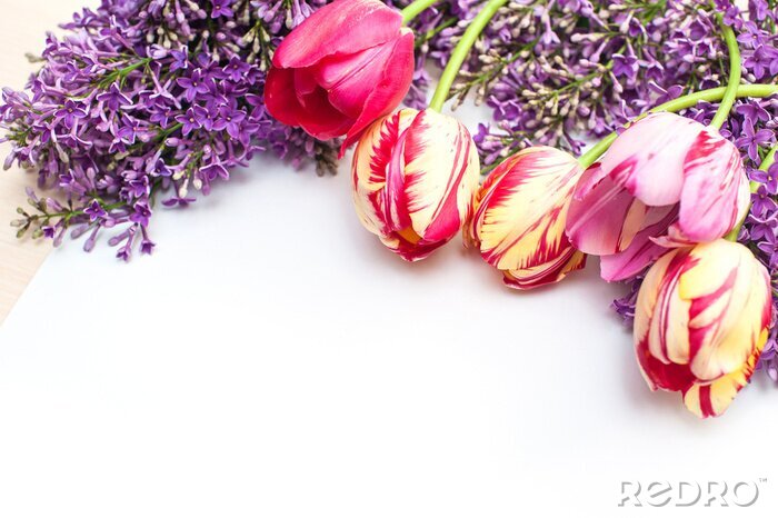 Sticker  cadre de tulipes et lieu lilas pour texte Carte de voeux