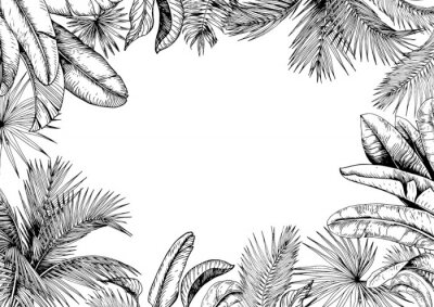 Cadre noir et blanc avec des feuilles de plantes tropicales