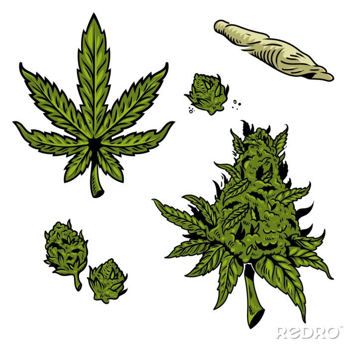 Sticker  cannabis marijuana set 