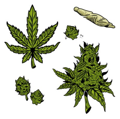 Sticker  cannabis marijuana set 