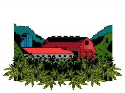 Sticker  Cannabis natural farm print 