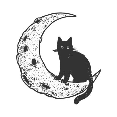Sticker  Cartoon cat on Moon sketch engraving vector illustration. T-shirt apparel print design. Scratch board imitation. Black and white hand drawn image.