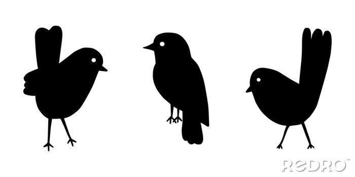 Sticker  Cartoon style vector illustration of balck and white bird set template. Great design elements for sticker, card, print, poster, other design. Unique and fun drawing icon isolated on white background 