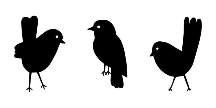 Sticker  Cartoon style vector illustration of balck and white bird set template. Great design elements for sticker, card, print, poster, other design. Unique and fun drawing icon isolated on white background 