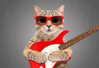 Sticker  Cat Scottish Straight in sunglasses with electric guitar on gray background
