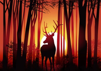 Sticker  Cerf - Forêt - Chasse - Nature