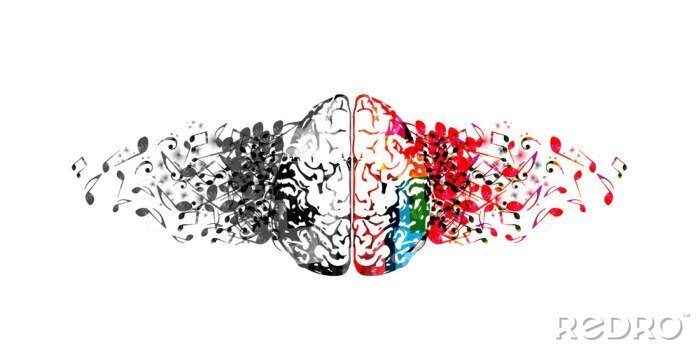 Sticker  Cerveau humain coloré avec des notes de musique isolée vector illustration design. Affiche du festival de musique artistique, concert, conception de notes de musique créatives